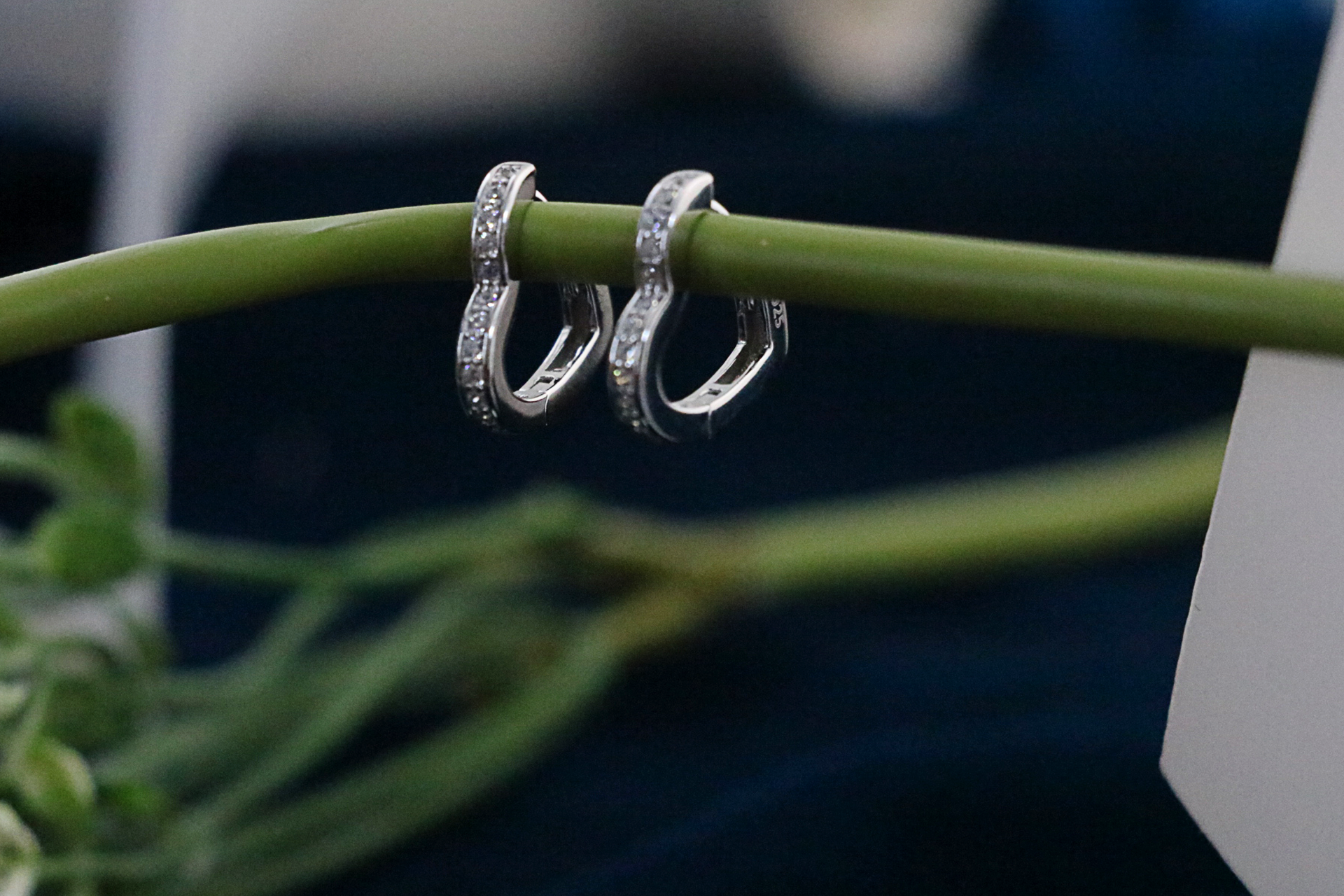 Sira Heart Hoops