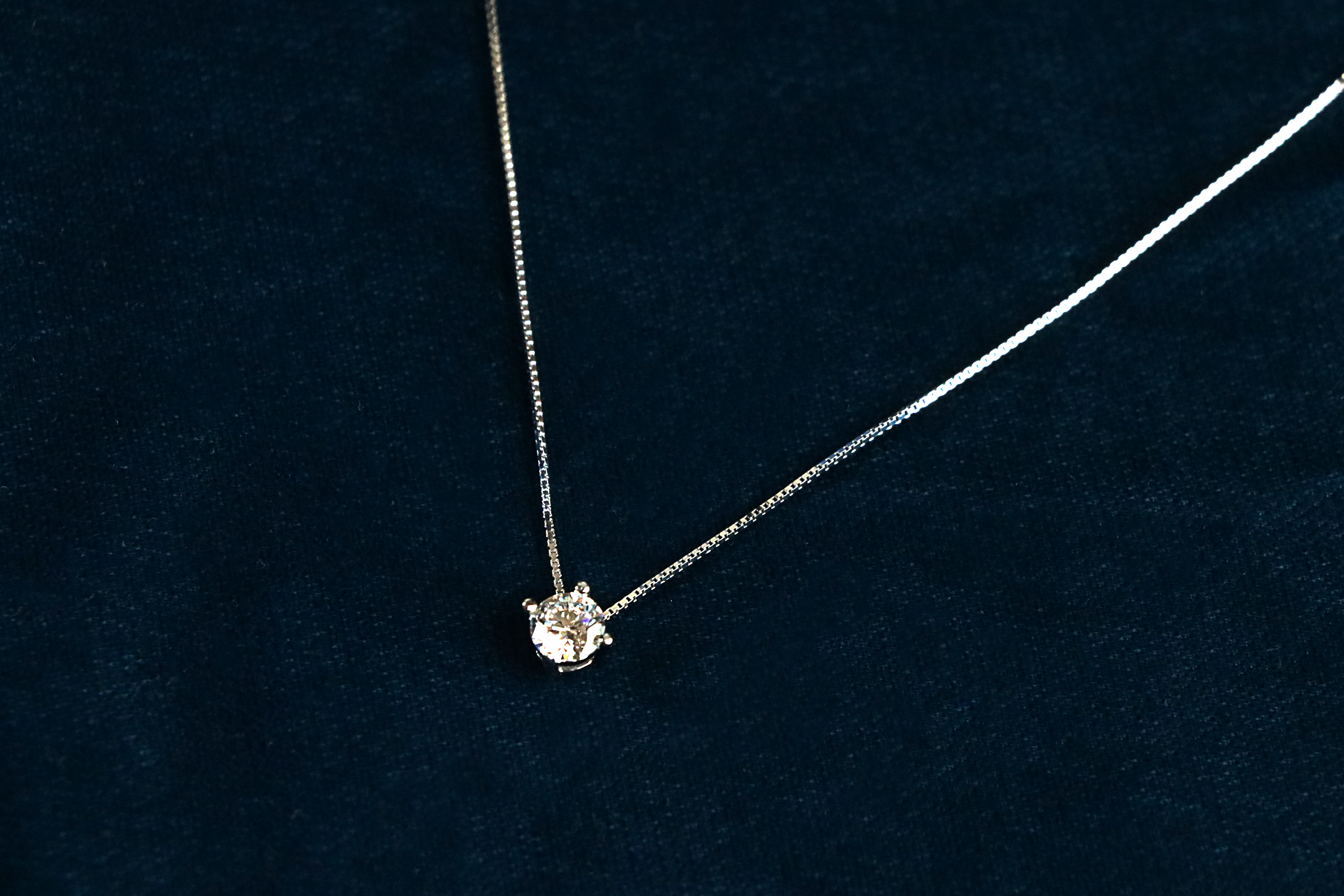Nova Petal Pendant Chain