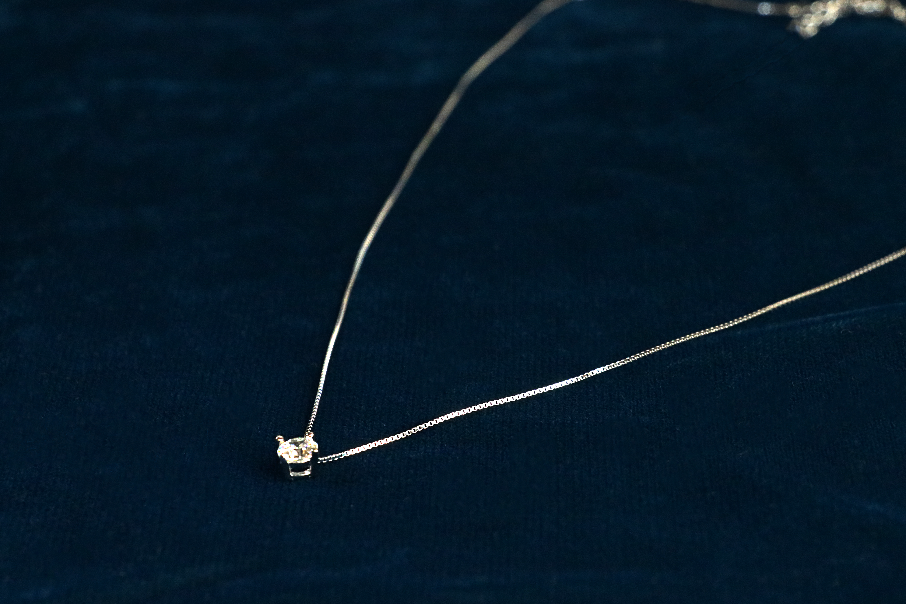 Nova Petal Pendant Chain